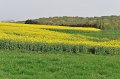 DSC_1046