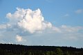 DSC_0730
