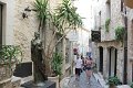 IMG_7993
