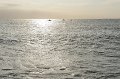 CapBreton_033