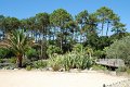CapBreton_599