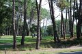 CapBreton_637