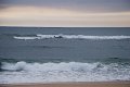 CapBreton_655