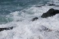 DSC_2410