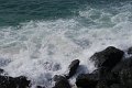 DSC_2427